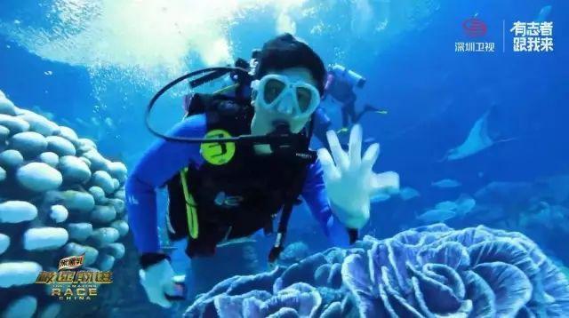 海蜇就是水母吗,有什么区别呢?知识星球,专注知识共享与交流